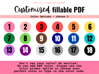 Custom Fillable - The Cheer Coach Planner