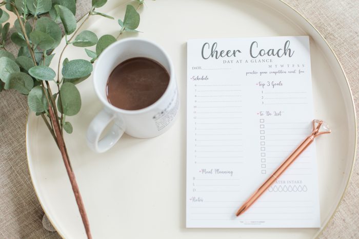 The Cheer Coach Planner - day at a glance notepad - The organized cheer coach - cheer coach binder printables - the ultimate cheer coach planner